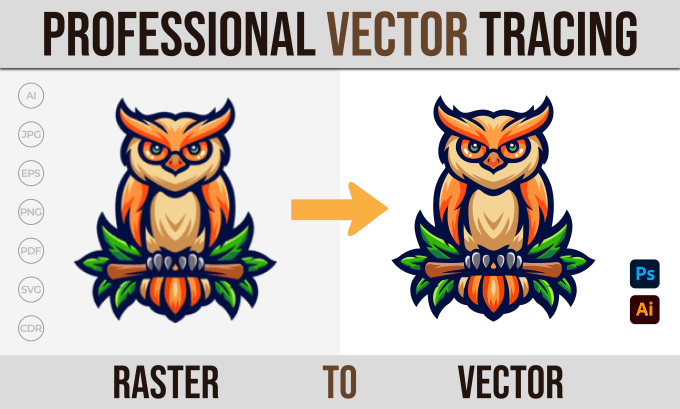 Gig Preview - Redraw logo, vector tracing, convert image to vector