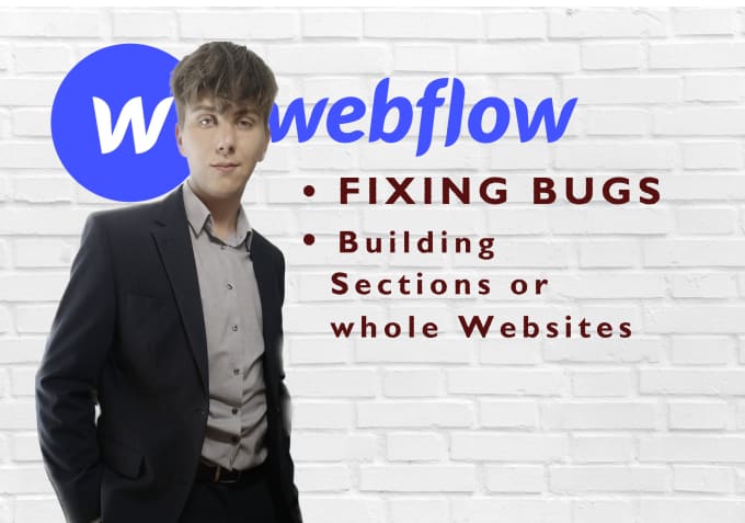 Gig Preview - Fix your webflow website