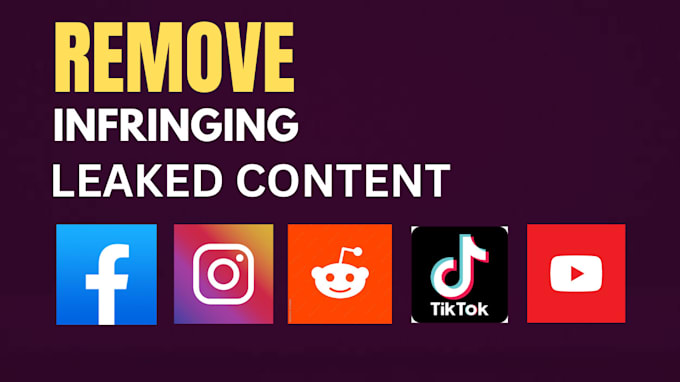 Gig Preview - Takedown content on tiktok, reddit,instagram,facebook,youtube,twitter under dmca