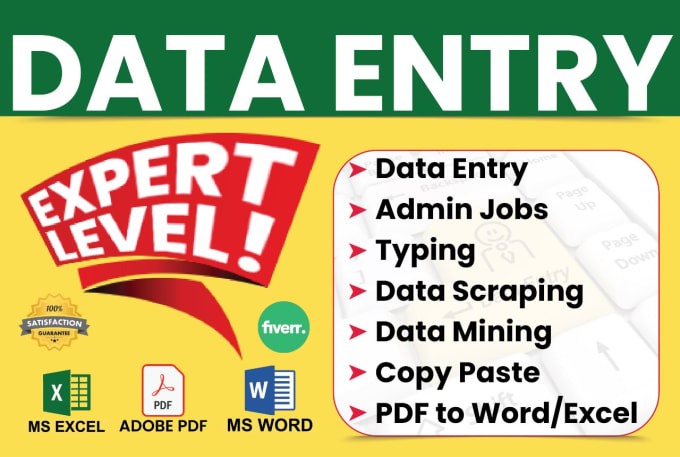 Gig Preview - Do excel data entry typing work job, copy paste and web research