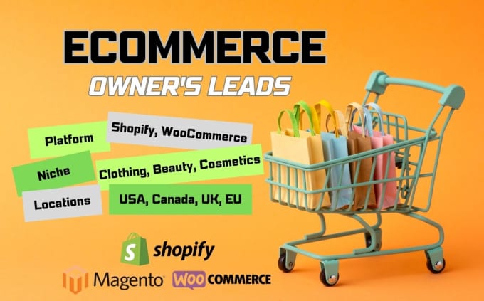 Gig Preview - Do ecommerce leads, shopify owner leads