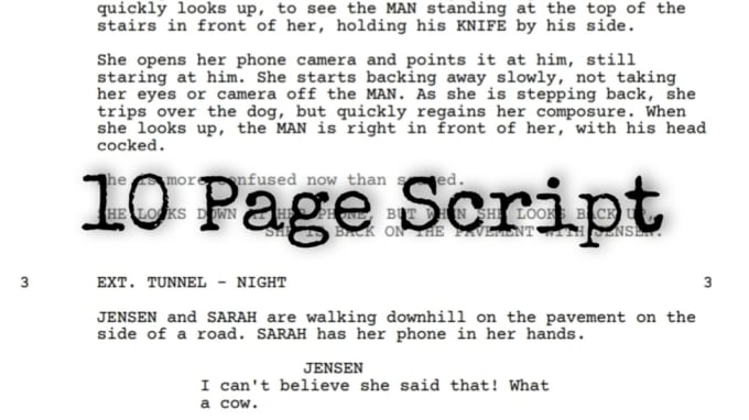 Gig Preview - Write you a short screenplay with your prompt