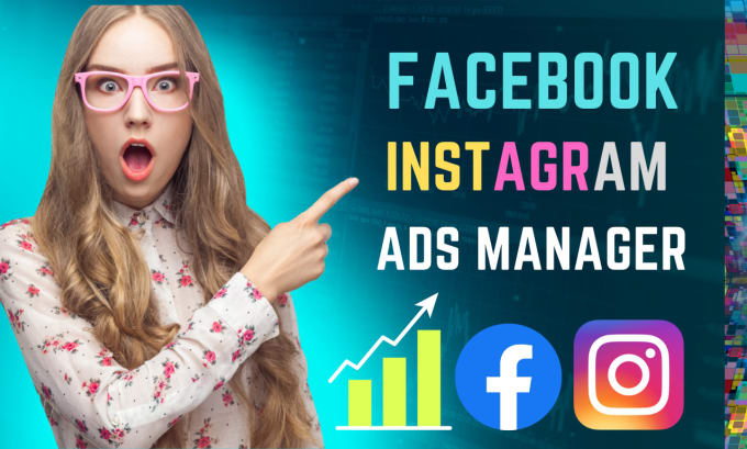 Gig Preview - Run ai, facebook and instagram ads manager