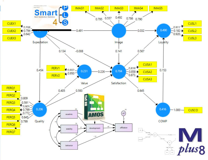 Gig Preview - Do   data analysis in spss, amos, smartpls and  mplus