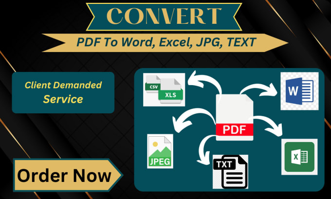 Gig Preview - Convert PDF jpeg to word excel