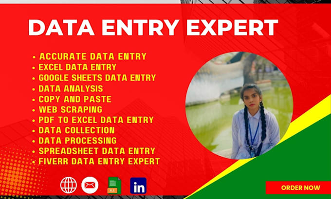 Gig Preview - Do expert data entry, copy paste, web scraping, pdf to excel