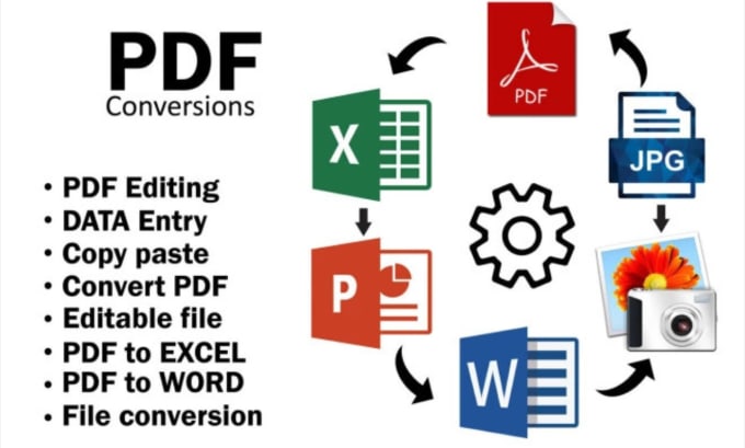 Gig Preview - Do excel, google sheets, and PDF data entry expert