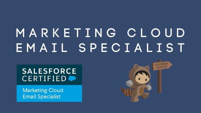 Gig Preview - Do salesforce marketing cloud journey builder, automation, email studio, pardot