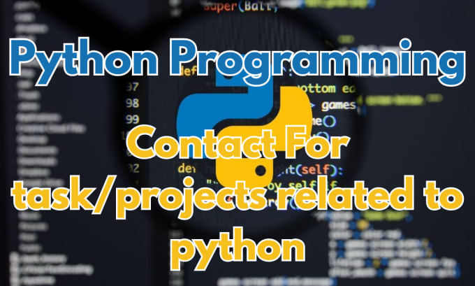 Gig Preview - Provide professional python programming solutions