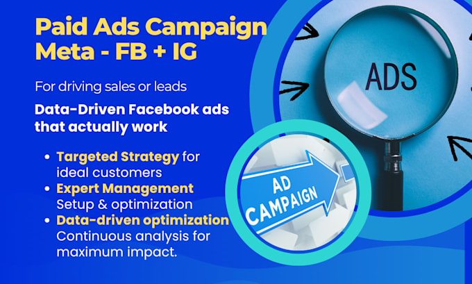 Gig Preview - Create, manage and optimize a data driven facebook and meta PPC ad campaign