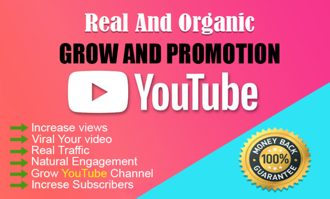 Gig Preview - Organic youtube video promotion and marketing  social media