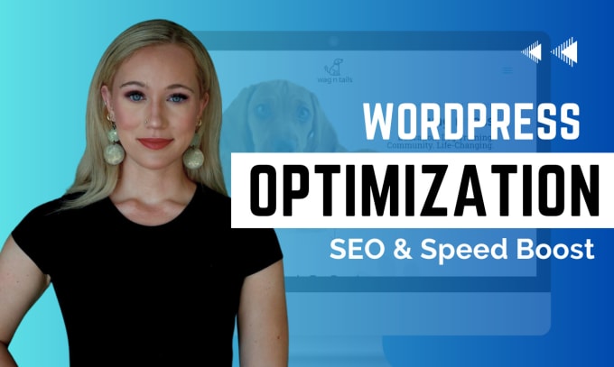 Gig Preview - Optimize your wordpress website