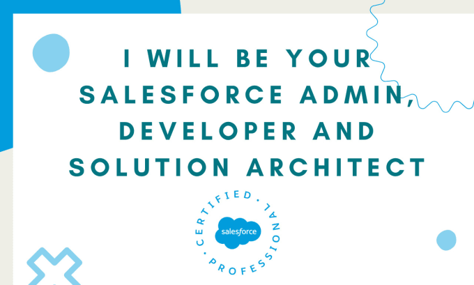 Gig Preview - Be your salesforce admin, developer and solution architect