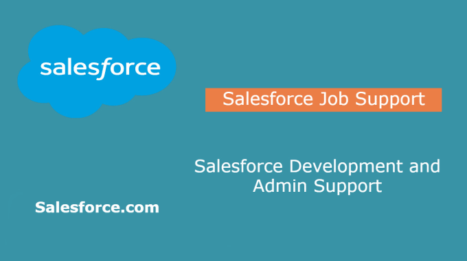 Gig Preview - Do salesforce job support