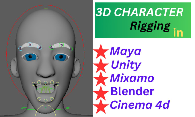 Gig Preview - 3d character rigging in maya, cinema 4d, mixamo, blender, unity, wonder studio