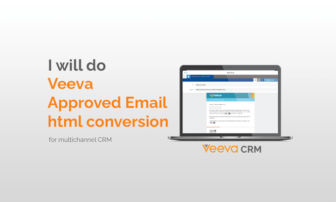 Gig Preview - Do veeva approved email html conversion