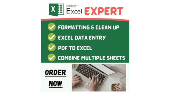 Gig Preview - Do microsoft excel formula, vba charts and graphs