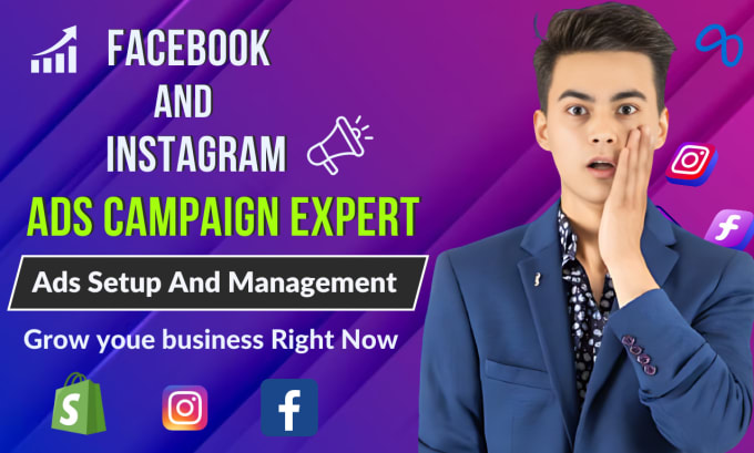 Gig Preview - Setup and run professional shopify facebook and instagram ads campaign