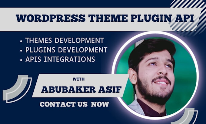 Gig Preview - Do custom wordpress theme plugin and API development for you