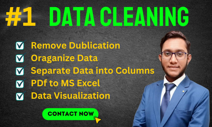 Gig Preview - Clean, organize merge and visualization  your ms excel data