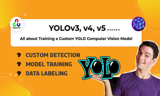 Gig Preview - Train a custom object detection model using any version of yolo