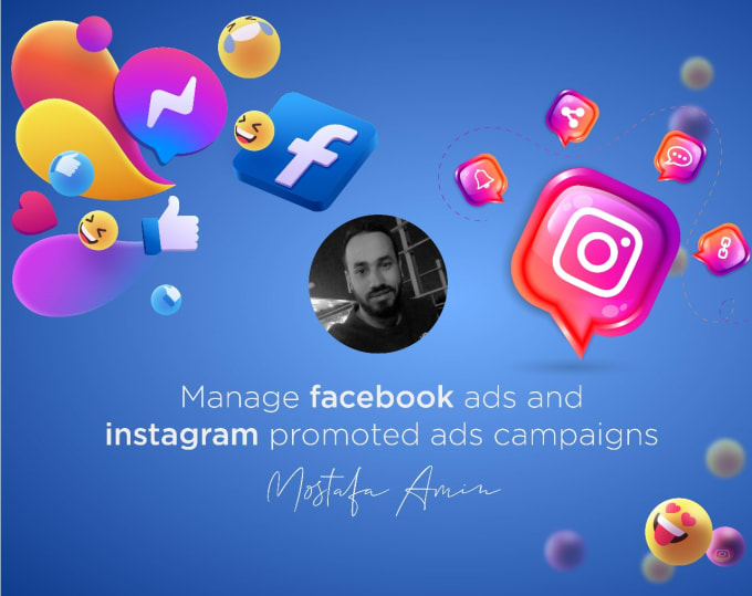 Gig Preview - Manage facebook ads and instagram promoted ad campaigns