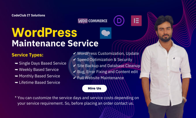 Gig Preview - Do wordpress website maintenance, support, update and fixing