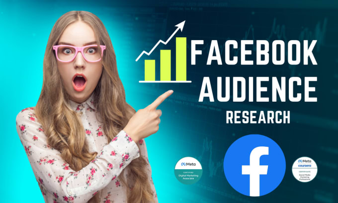 Gig Preview - Laser target the perfect audience with your facebook ads