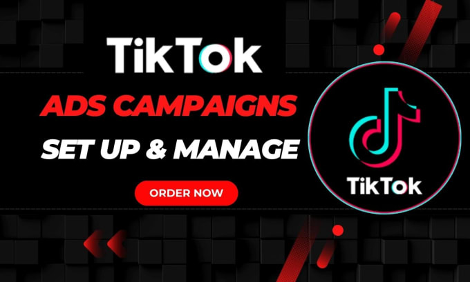 Gig Preview - Run and optimize tik tok ads, tiktok advertising, tik tok ads campaign