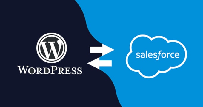 Gig Preview - Create integration between wordpress and salesforce