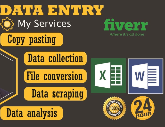 Gig Preview - Do data entry, data collection, copy paste, web scraping, file conversion