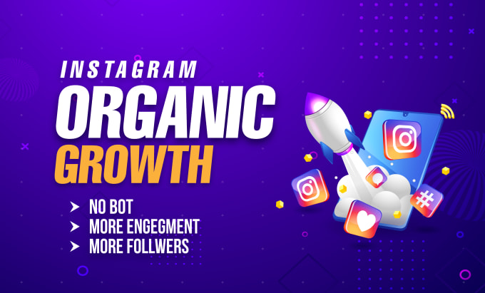 Gig Preview - Do instagram organic growth with super fast organic growth