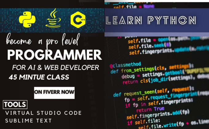 Gig Preview - Teach you python coding html css and scripting for ai, web development