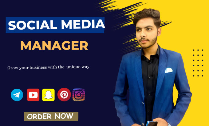 Gig Preview - Be your professional social media manager expert