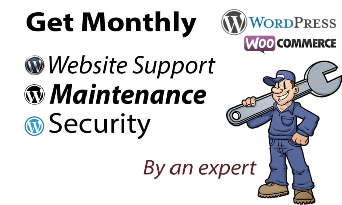 Gig Preview - Do monthly wordpress maintenance, security and support