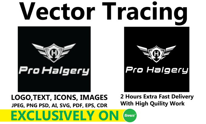 Gig Preview - Vector trace, redraw, recreate logo or image