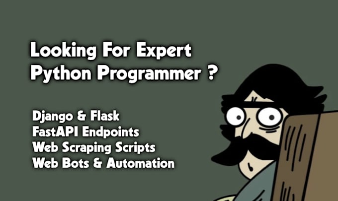 Gig Preview - Python expert for python script, API, web development