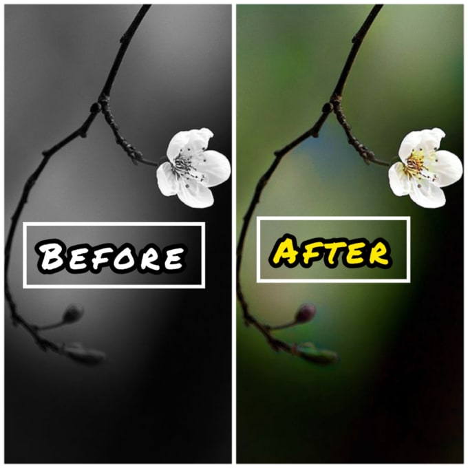 Gig Preview - Do photo retouching color enhancement and blur removal