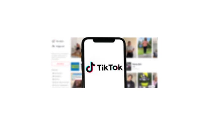 Gig Preview - Find best tiktok influencer for your niche