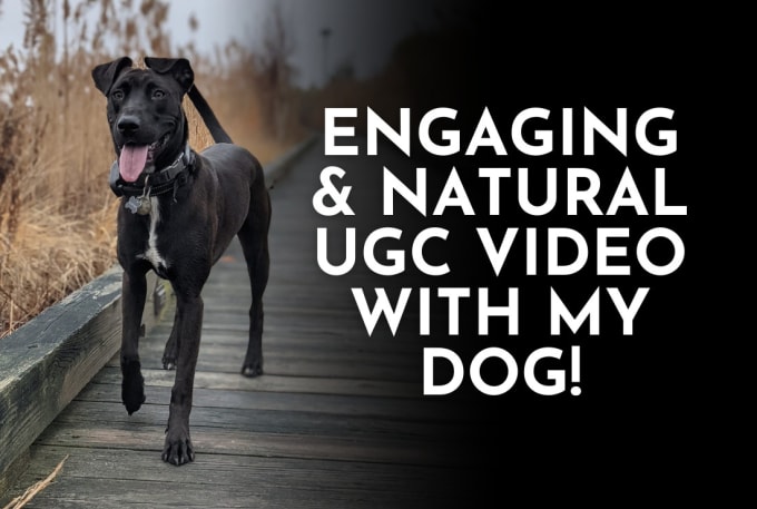 Gig Preview - Create an engaging ugc video with my dog