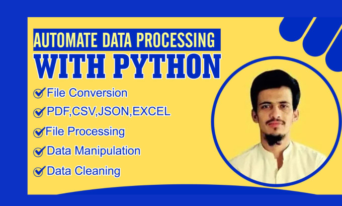 Gig Preview - Automate data processing using python