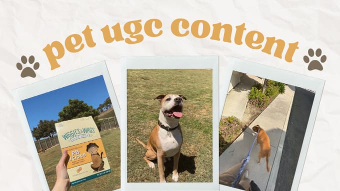 Gig Preview - Create ugc dog content for tiktok or video ads