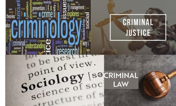 Gig Preview - Lead in criminology criminal justice criminal law sociology