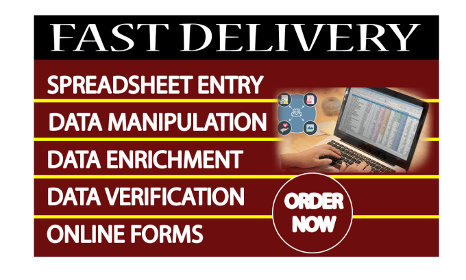 Gig Preview - Excel data entry, typing, formatting and cleansing