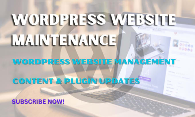 Gig Preview - Do wordpress website maintenance