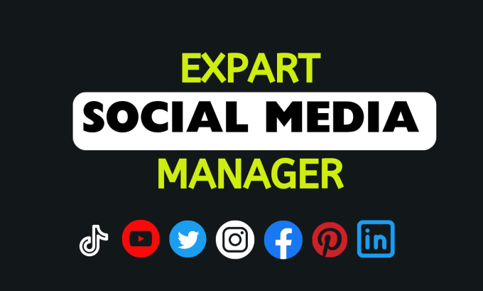 Gig Preview - Be your expert social media marketing manager and content creator