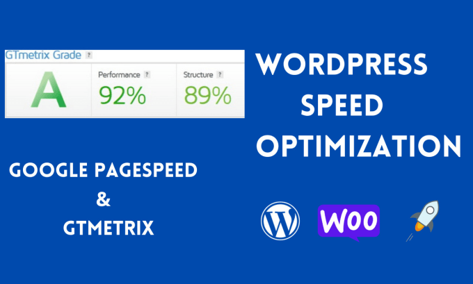 Gig Preview - Speed up wordpress website for google page speed insights