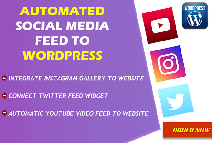 Gig Preview - Add instagram gallery twitter feed and youtube videos to wordpress website