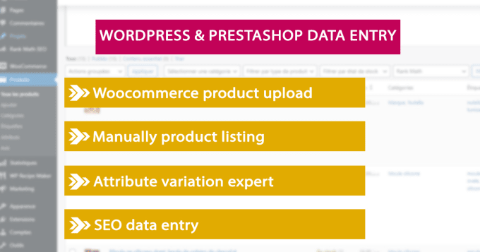 Gig Preview - Do professional wordpress data entry