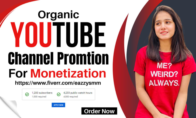 Gig Preview - Do organic youtube video promotion of your channel to get monetize